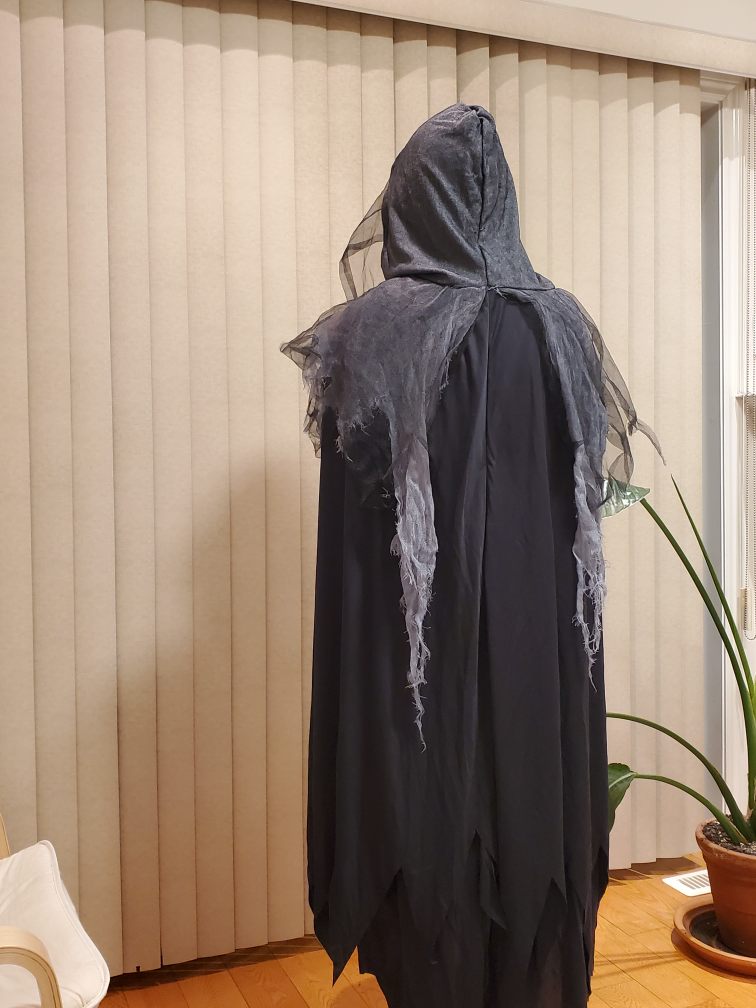 halloween costume