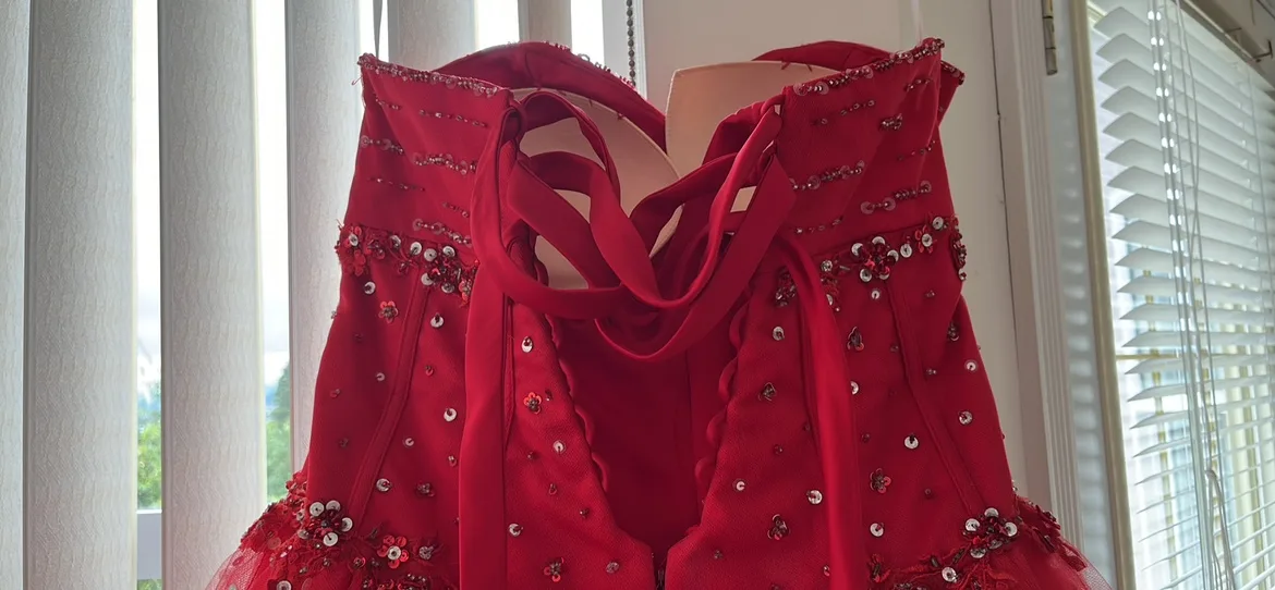 Custom made dress image indicator(4)