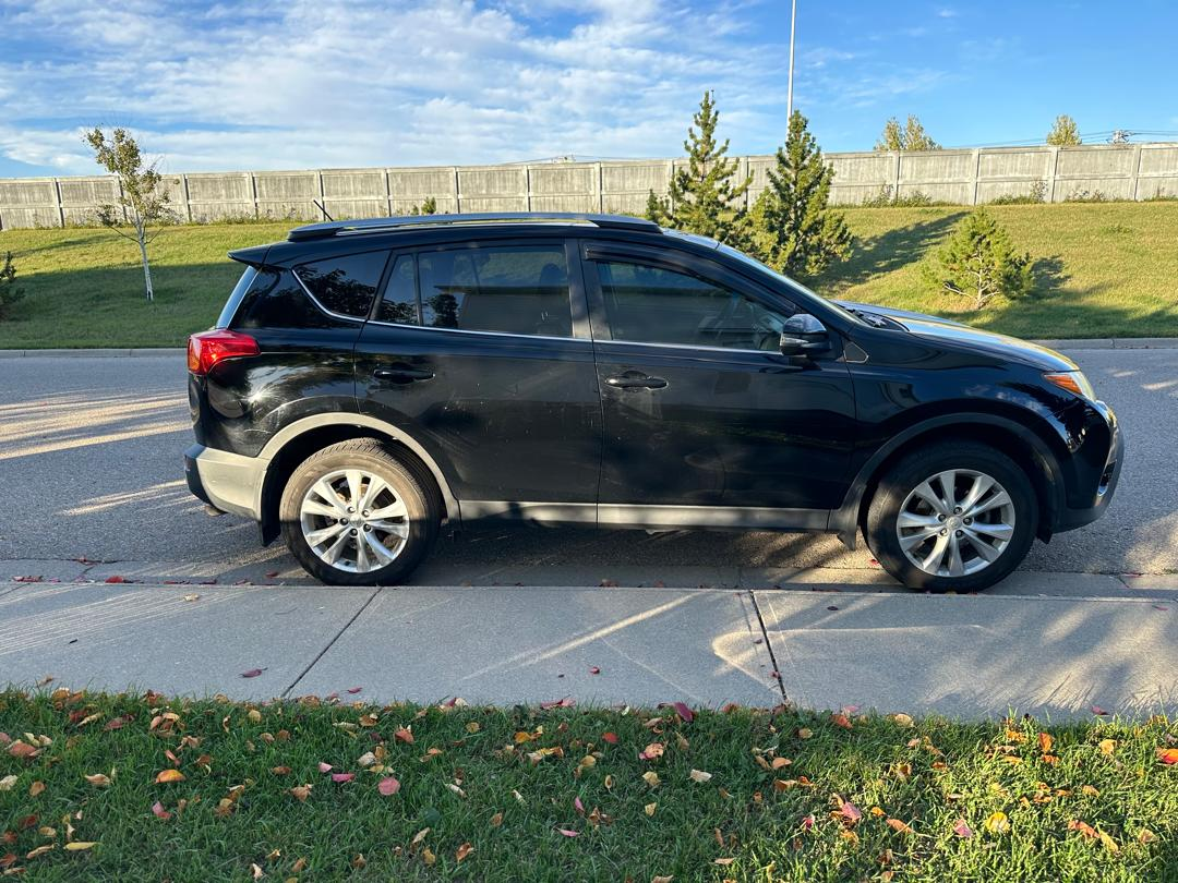 2015 Toyota RAV4 - photo 3