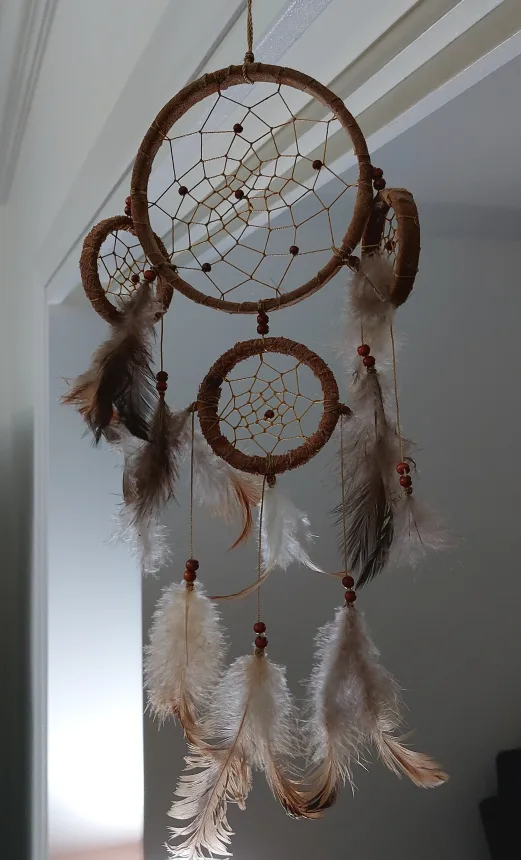 Unique DREAM CATCHER #FREECYCLE thumbnail