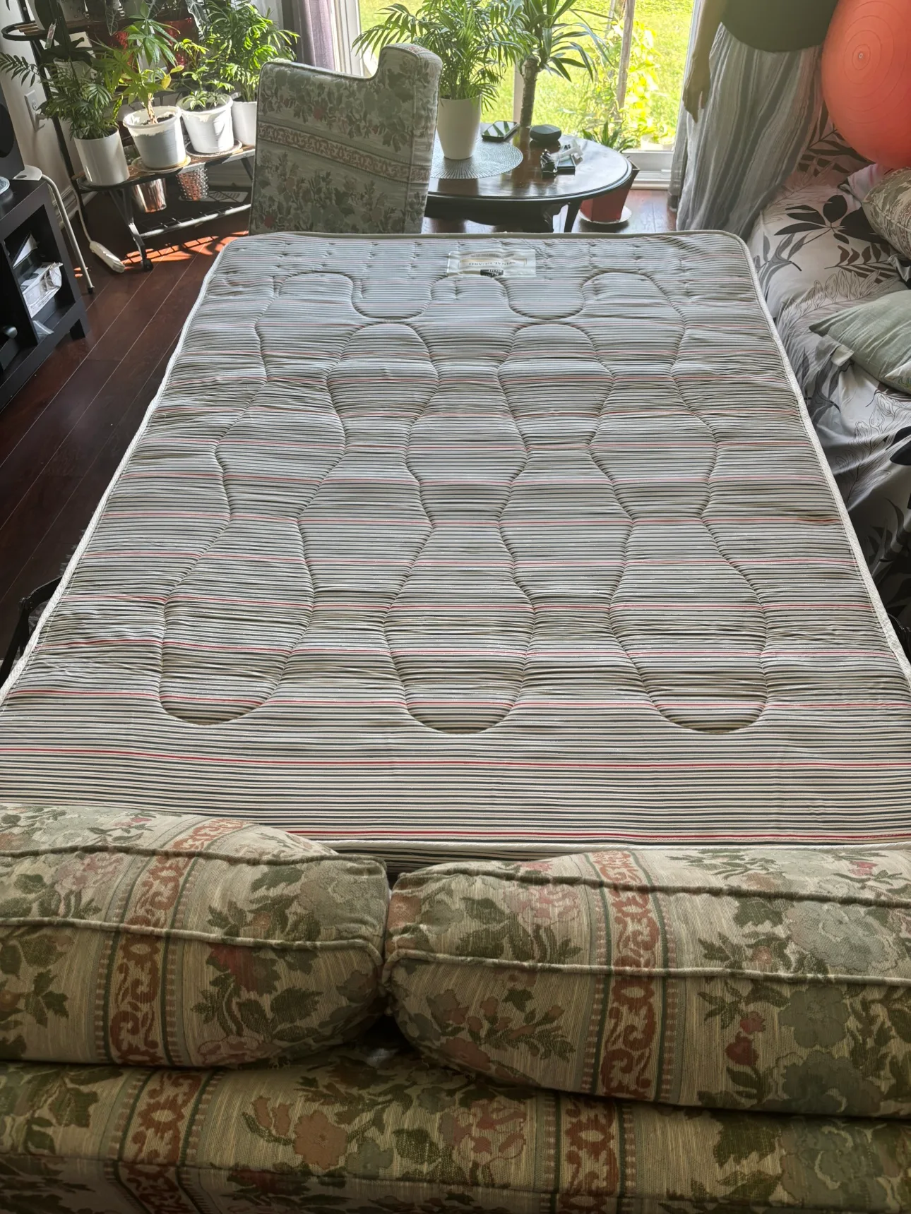 Free Floral Sofa Bed image indicator(5)