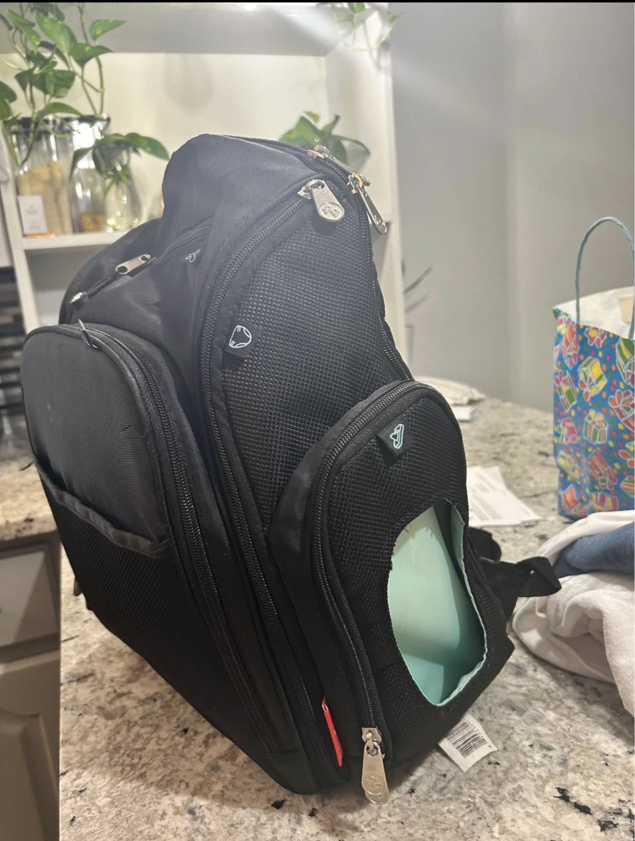 Diaper Bag Backpack