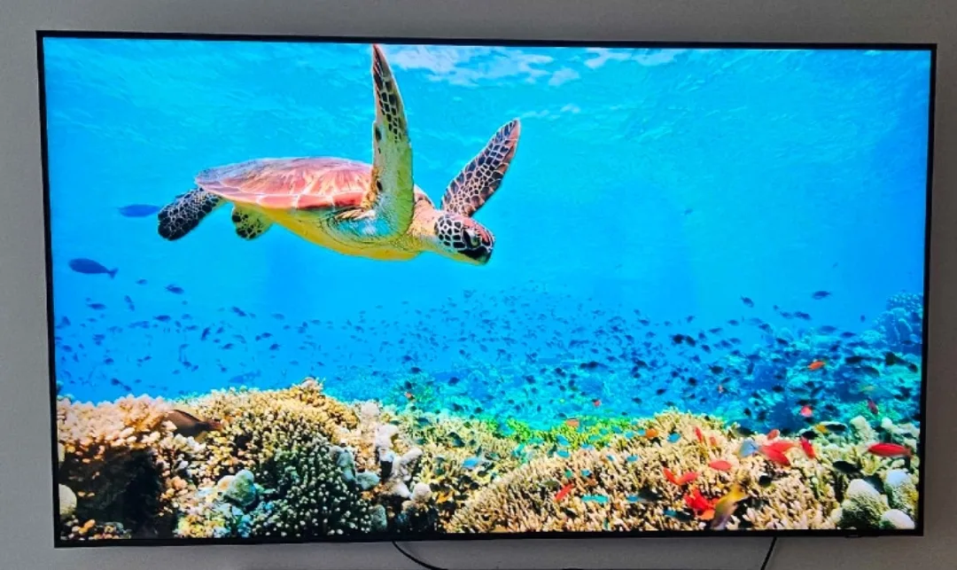 8mo old Samsung 65" TV + Yamaha Soundbar/Sub + Wall Mount thumbnail