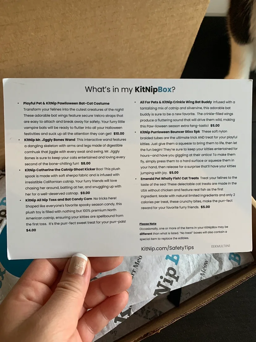 ‼️MUST-GO‼️ declutter - KitNipBox Halloween Cat Box image indicator(3)