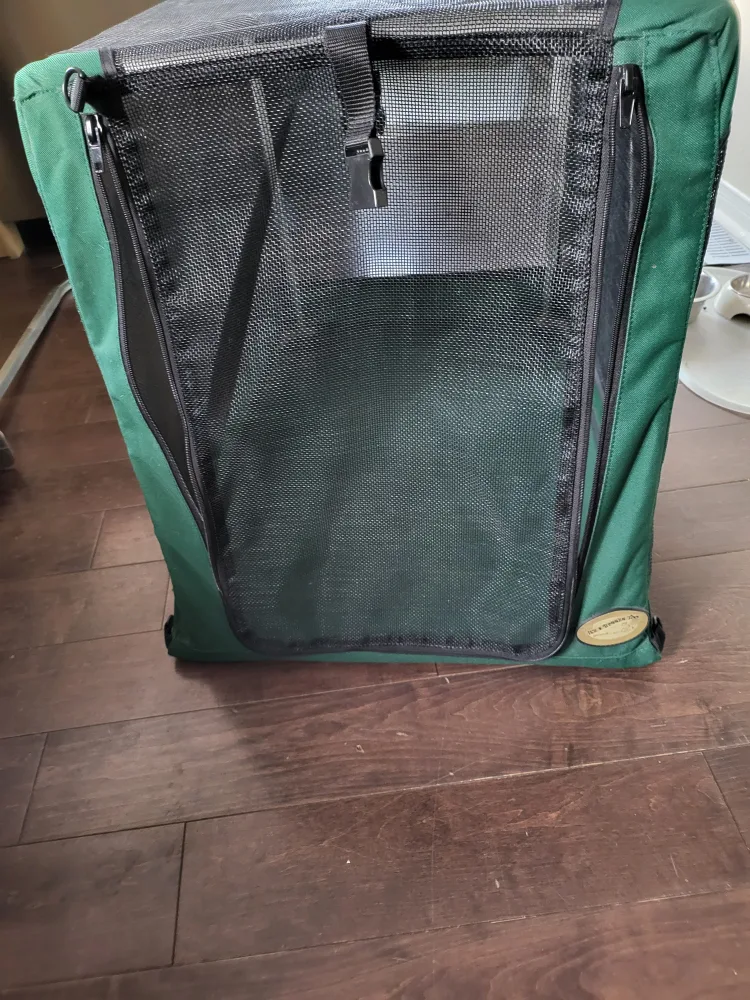 Green Collapsible Dog Crate thumbnail