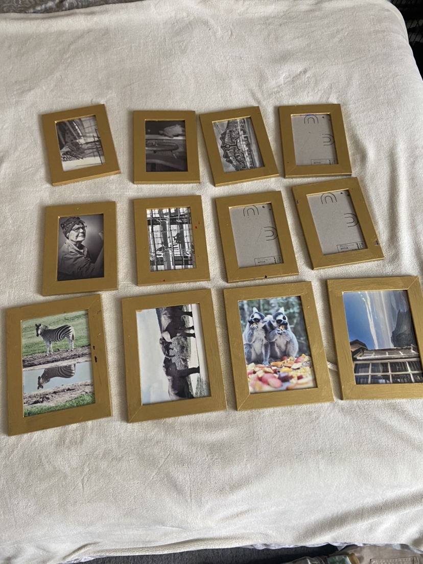 ✨FREE✨ 12 Gold Picture Frames