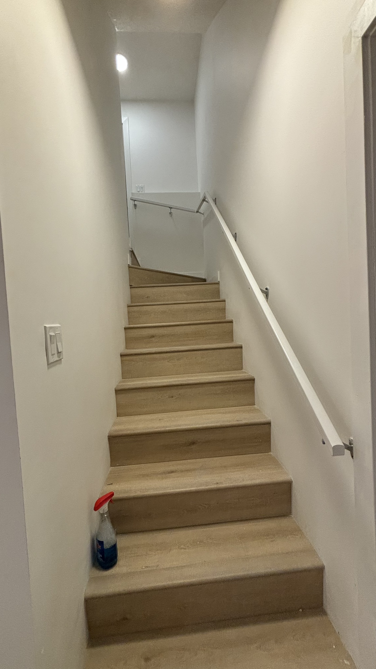 Basement Suite - photo 4