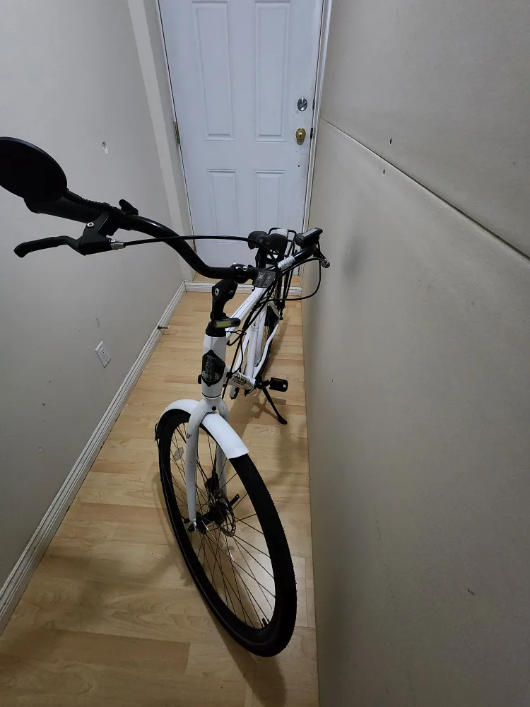 Raleigh Comfort Electric Bike image indicator(3)