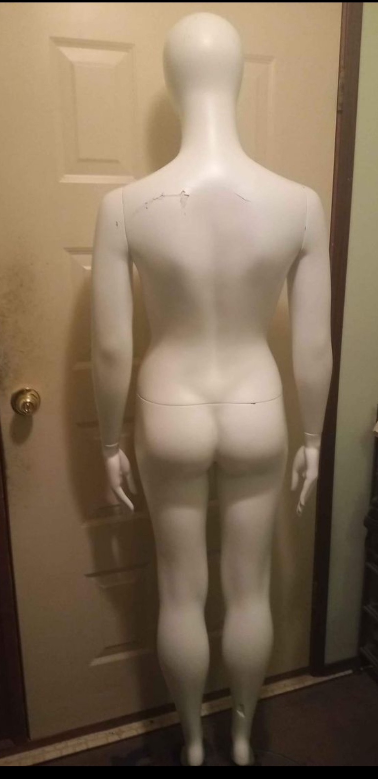 Full Body Female Mannequin - excellent condition - photo 2