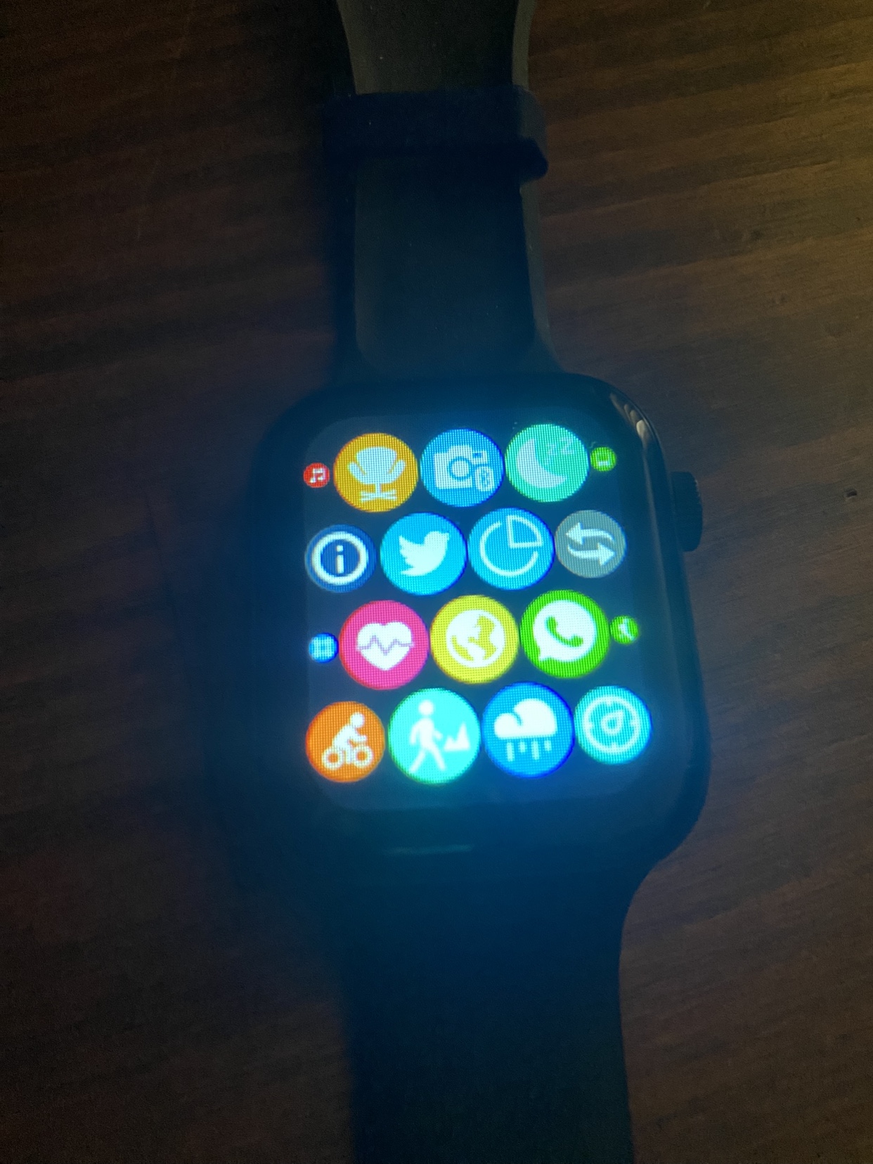 HryFine Fitbit watch - photo 4
