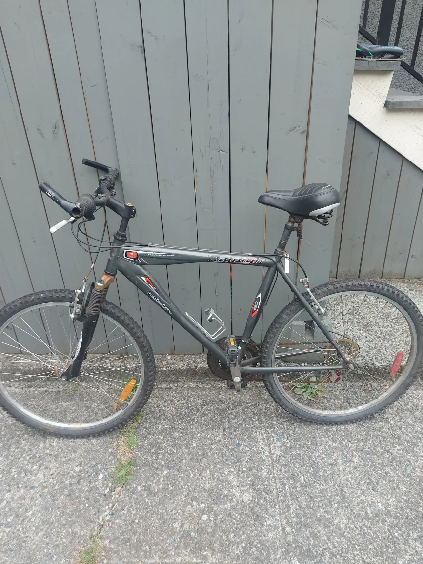 Mountain Bike image indicator(2)