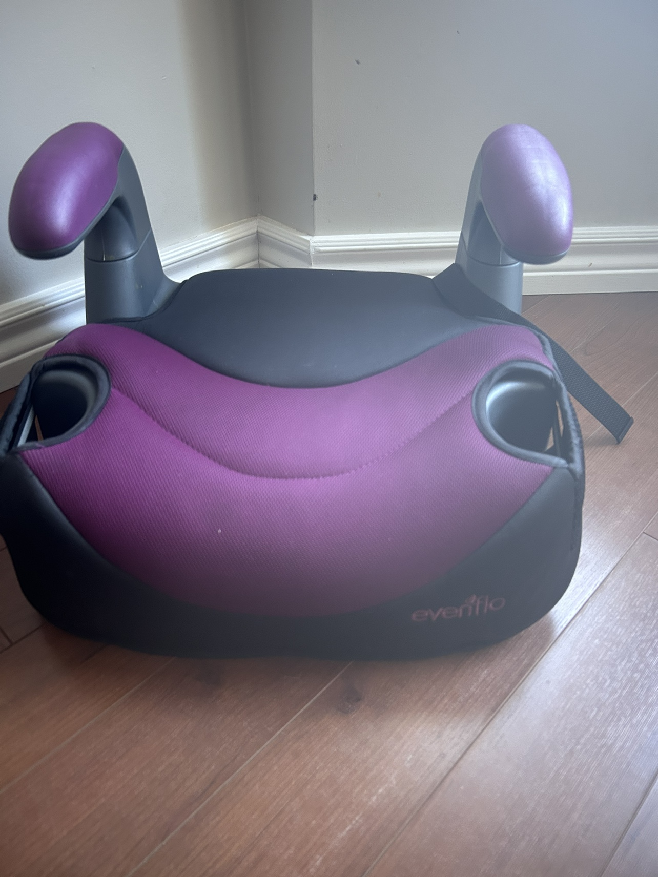 Evenflo Booster Seat