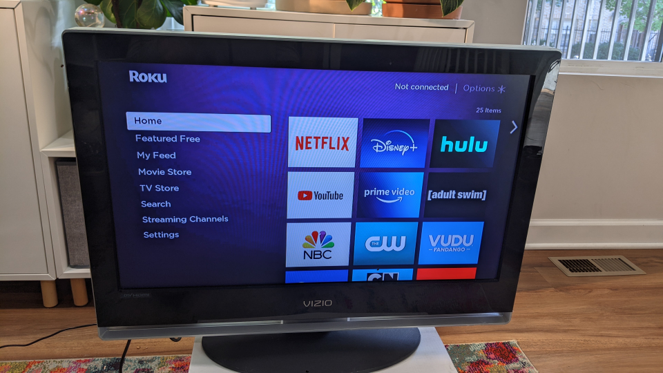 Roku Streaming Stick - photo 3