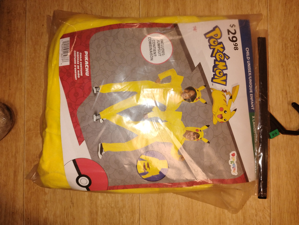 Pikachu Costume