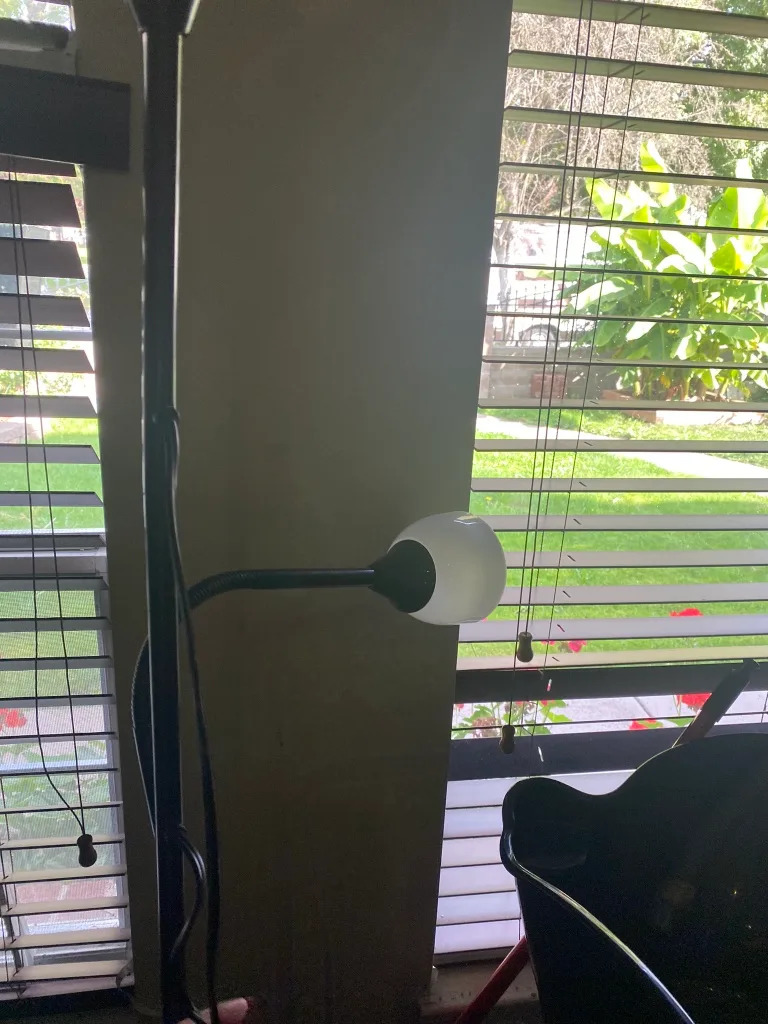 Black Floor Lamp with Two Lights image indicator(4)