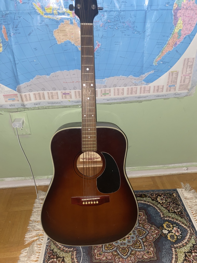 Mr. Bernard Acoustic Guitar - photo 3