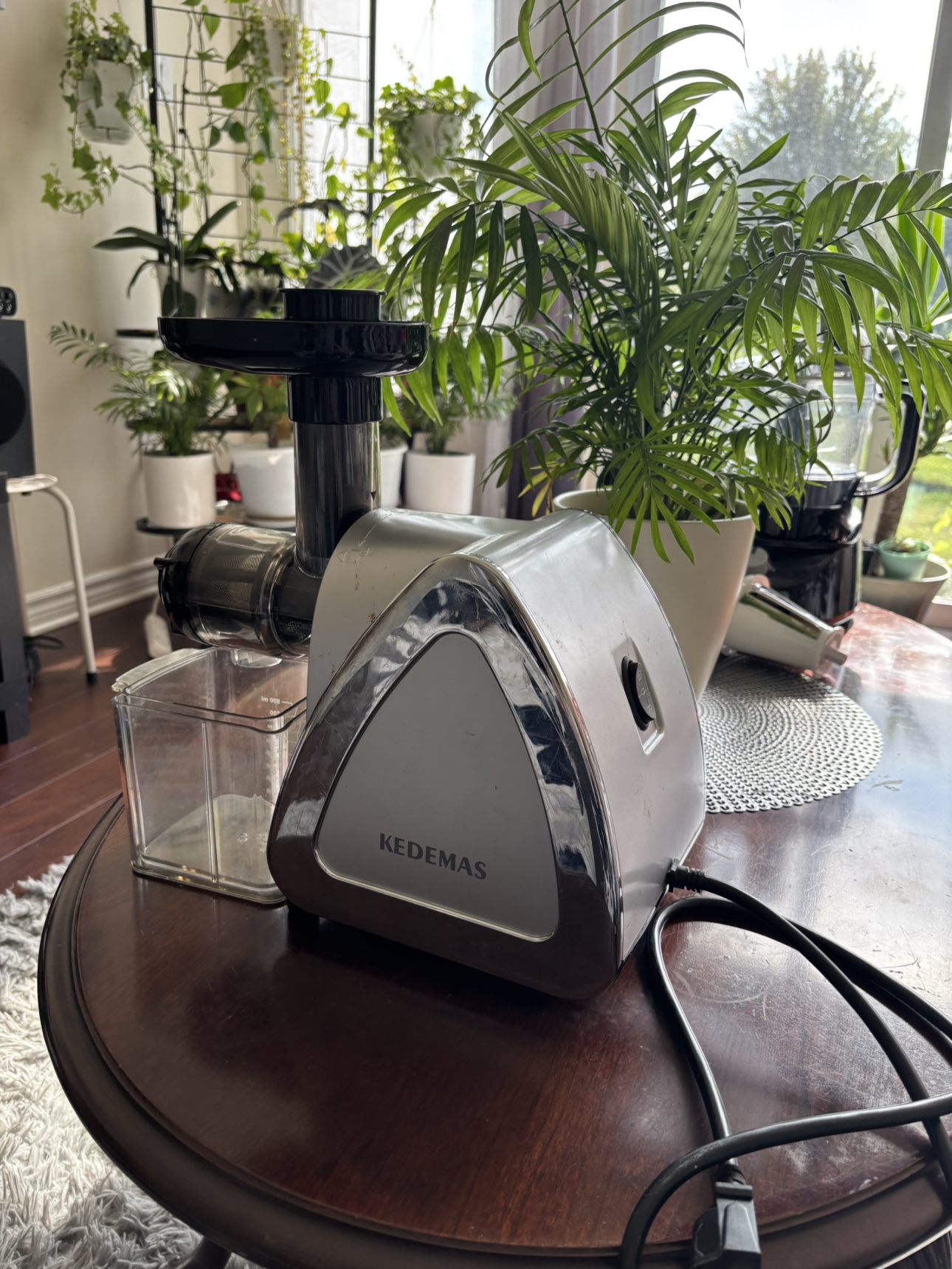 KEDEMAS Cold Press Juicer
