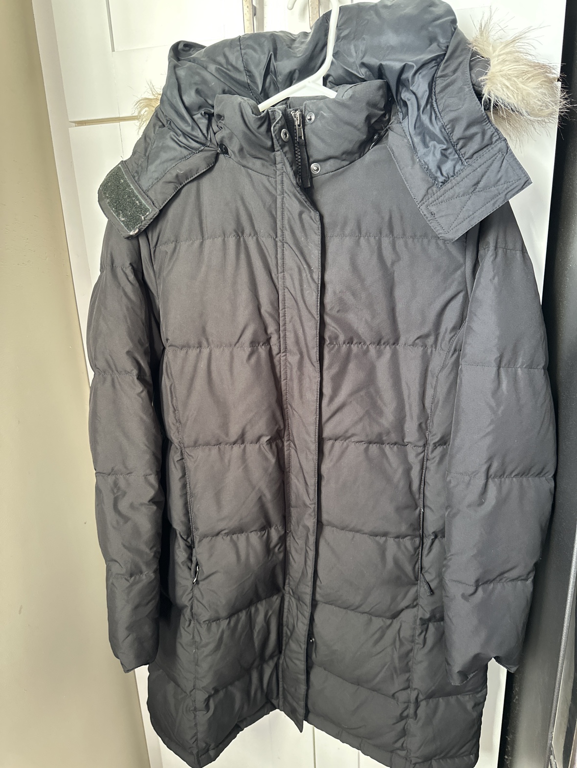 L.L. Bean Winter Jacket