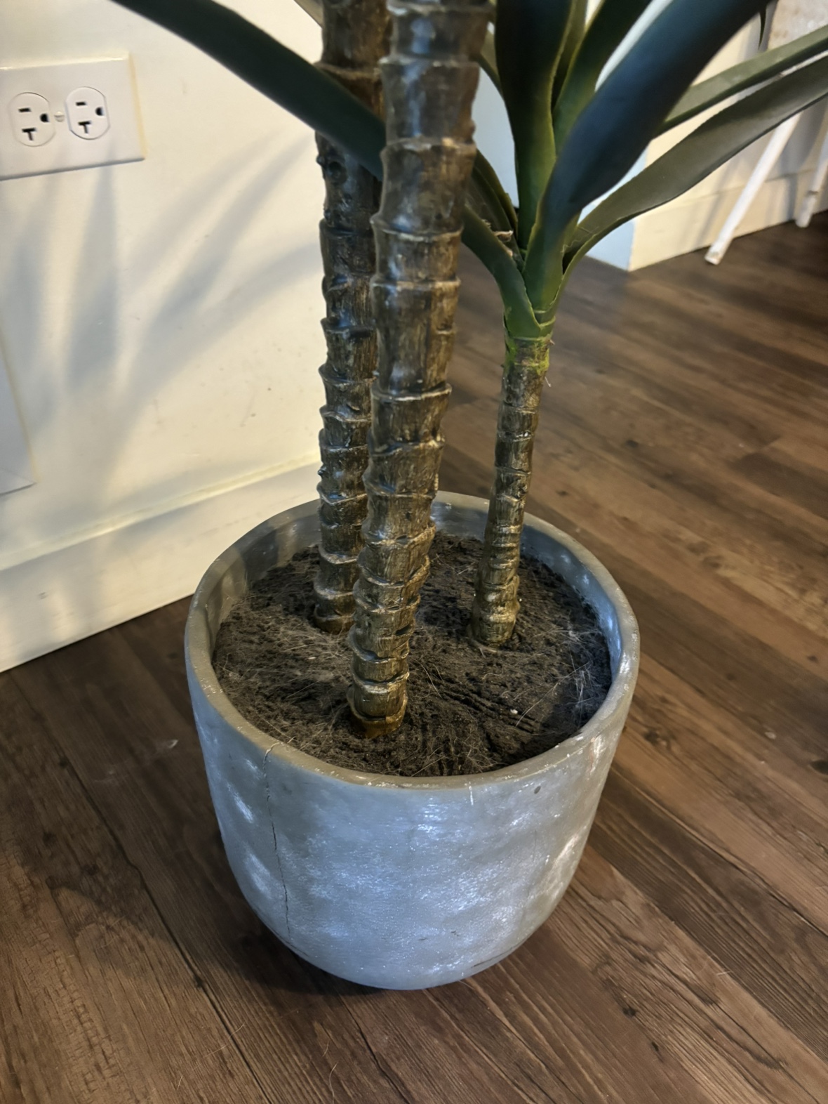 Artificial Yucca Plant in Pot - photo 3