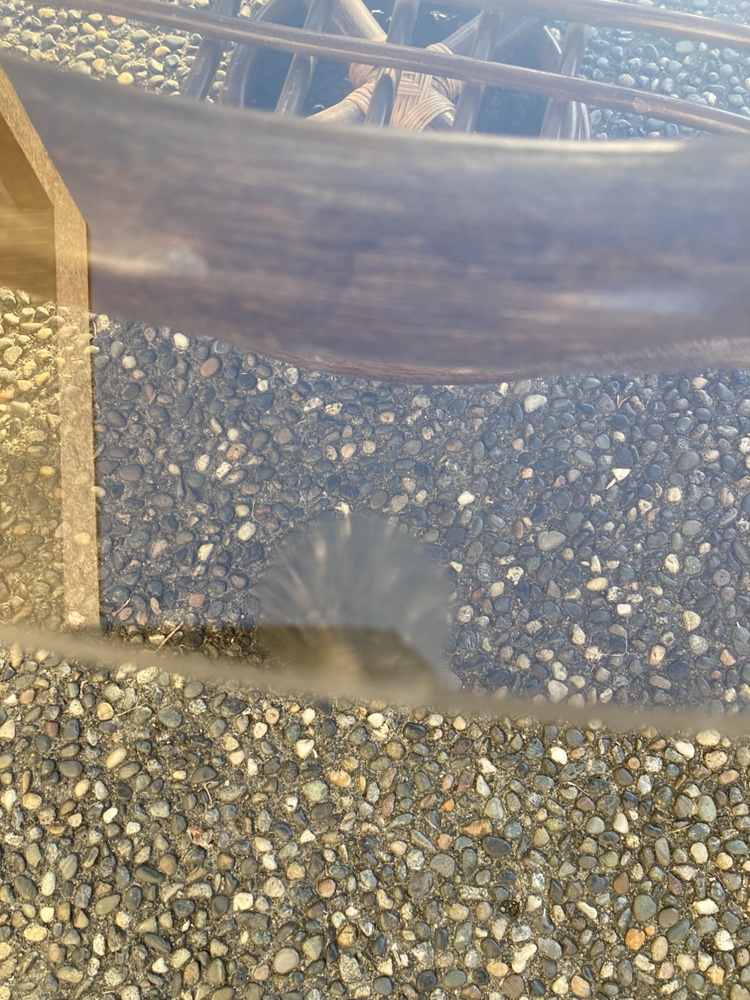 Glass top Coffee Table - photo 3
