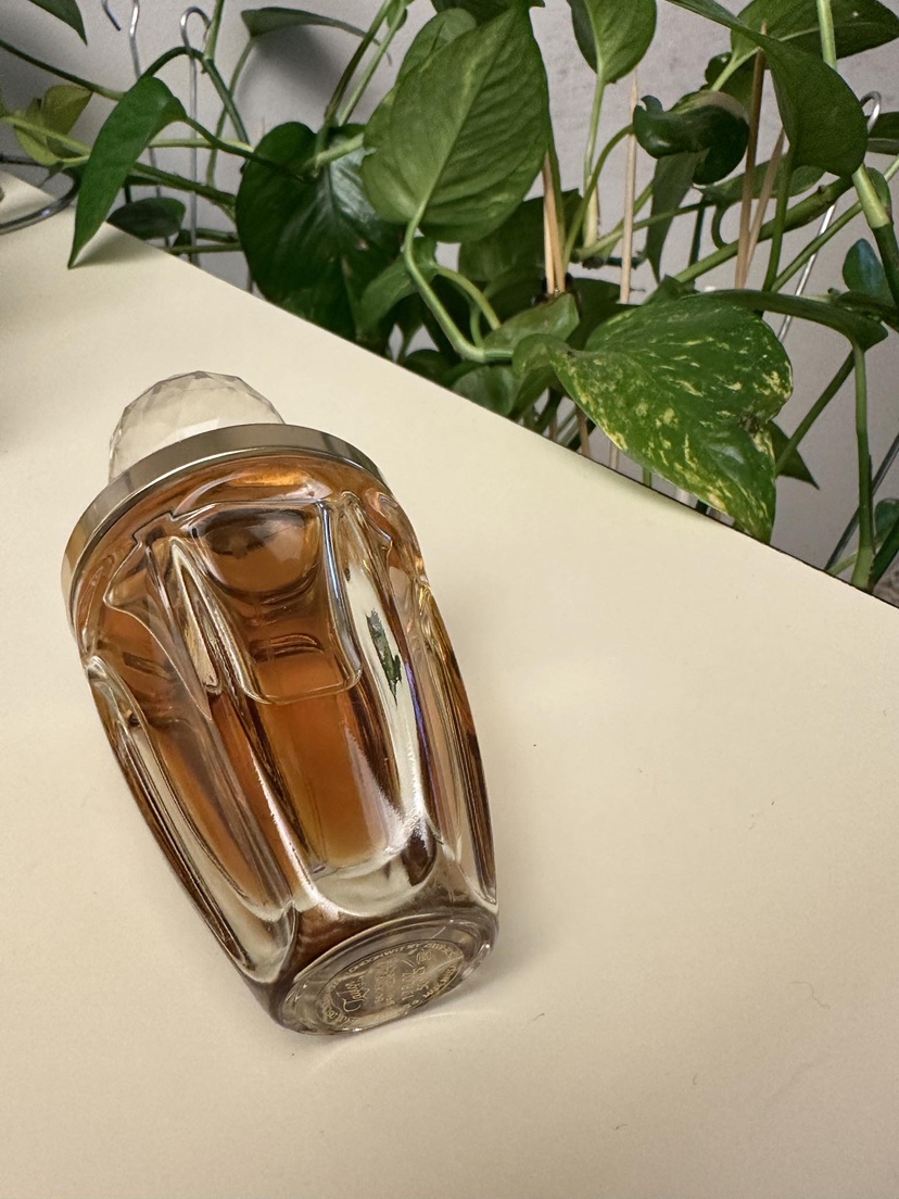 Laguine Perfume