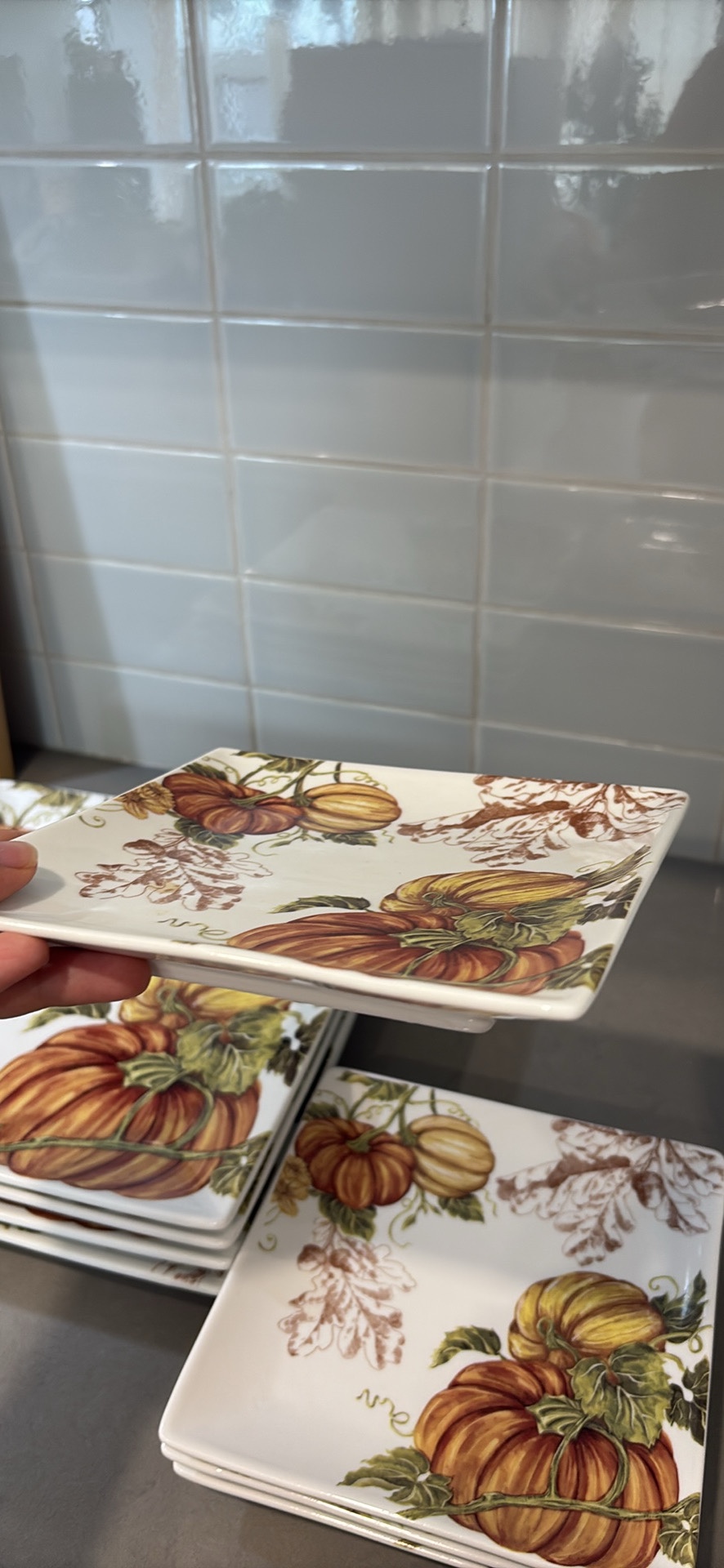“New” Pumpkin Dinnerware Set - photo 3