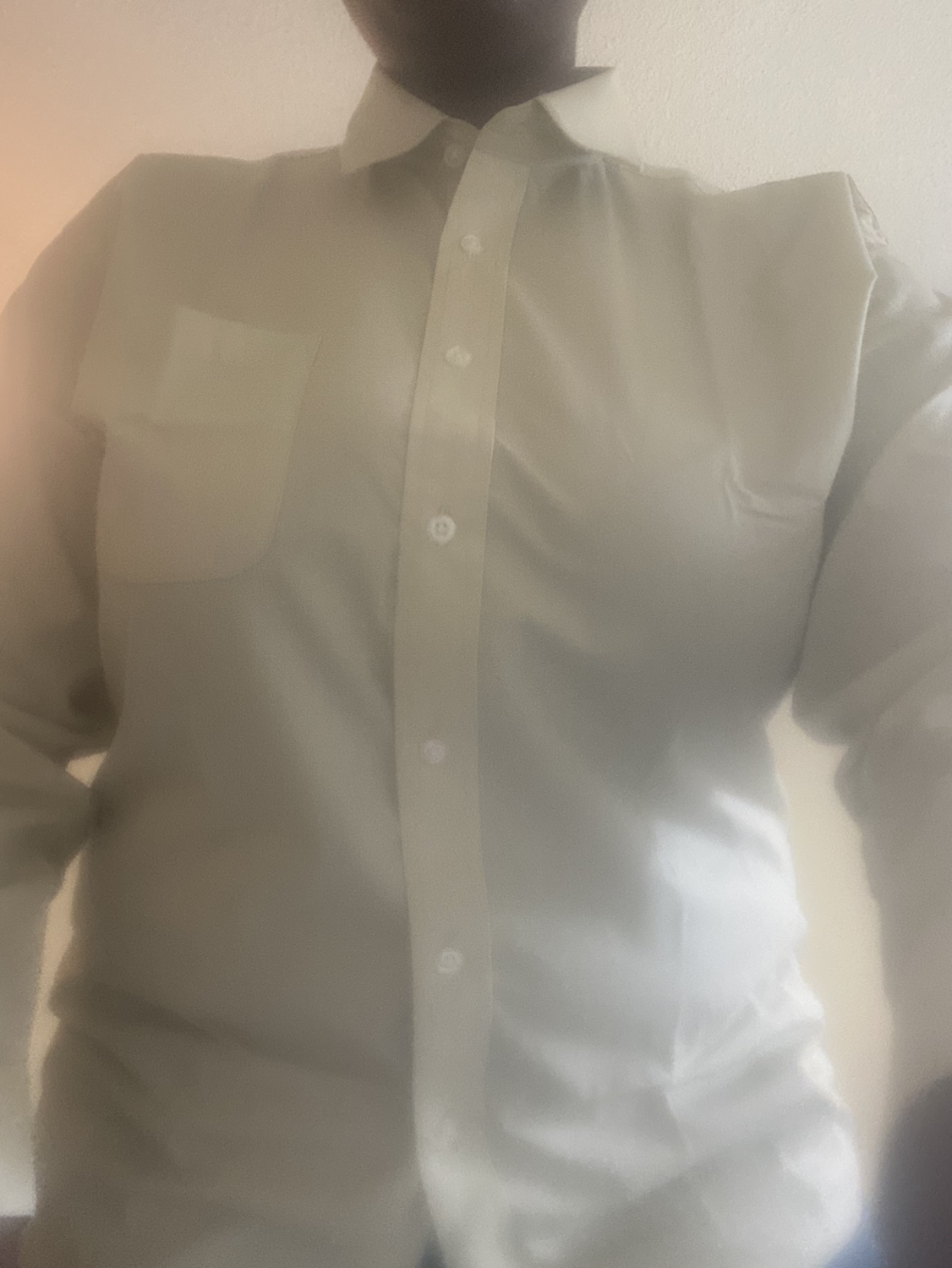 Jason Alexander Dress Shirt