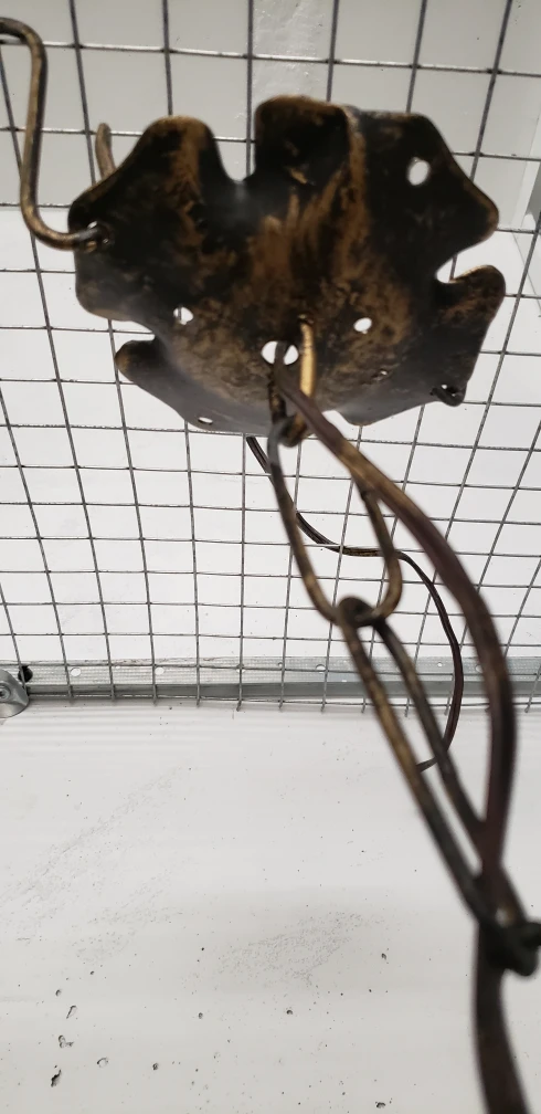 Hanging Light - photo 5