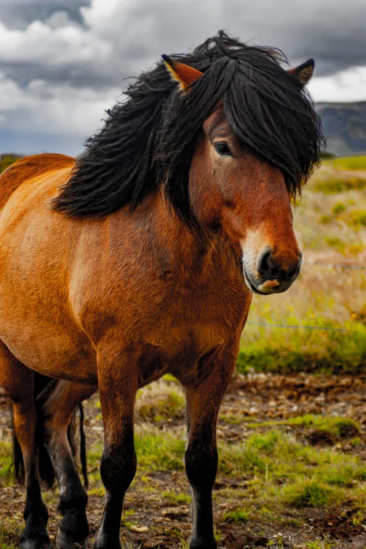 Iceland Photography Print Set image indicator(9)