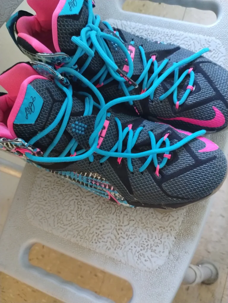 Nike LeBron Soldier 10 image indicator(4)