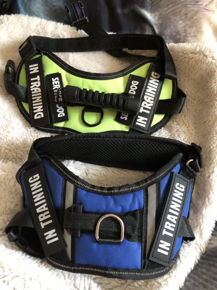 DOG SWEATERS AND HARNESSES - photo 2