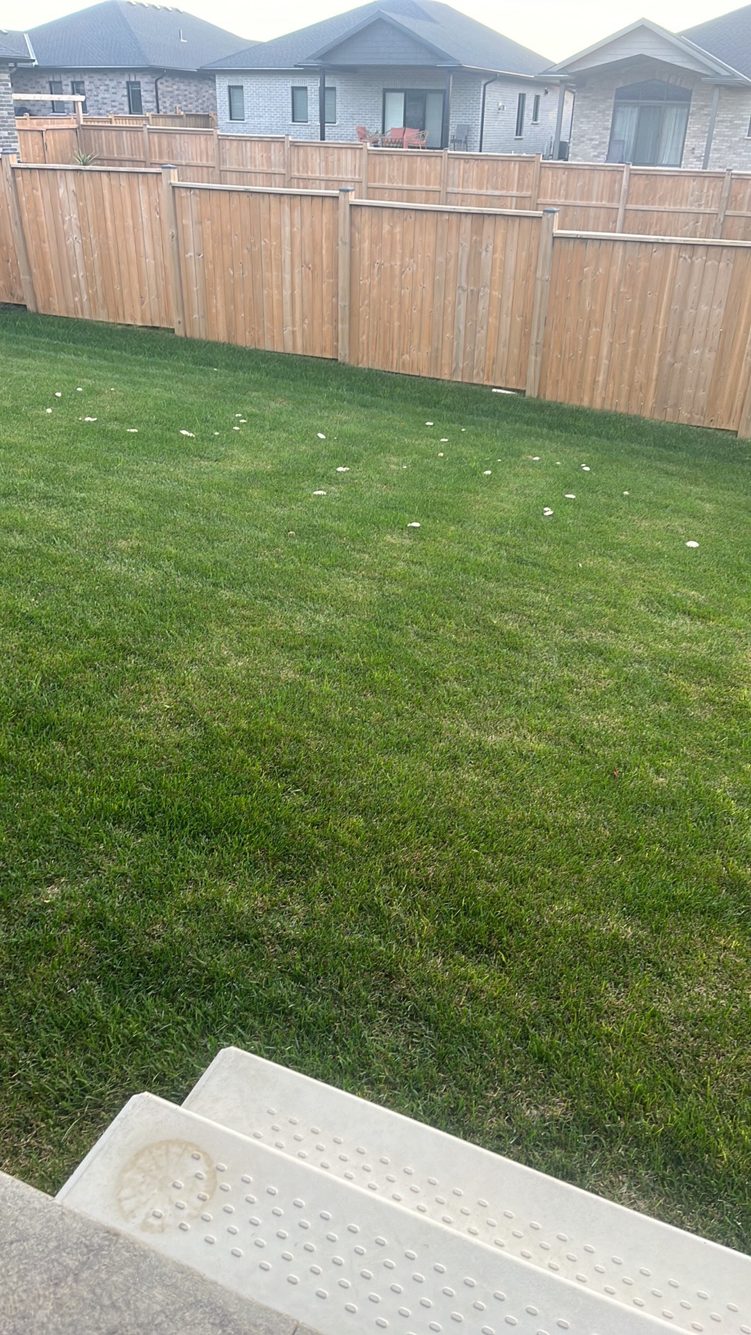 Lawn Aerator - photo 2
