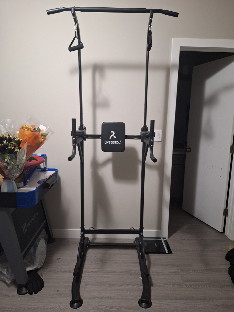 Pull Up Bar