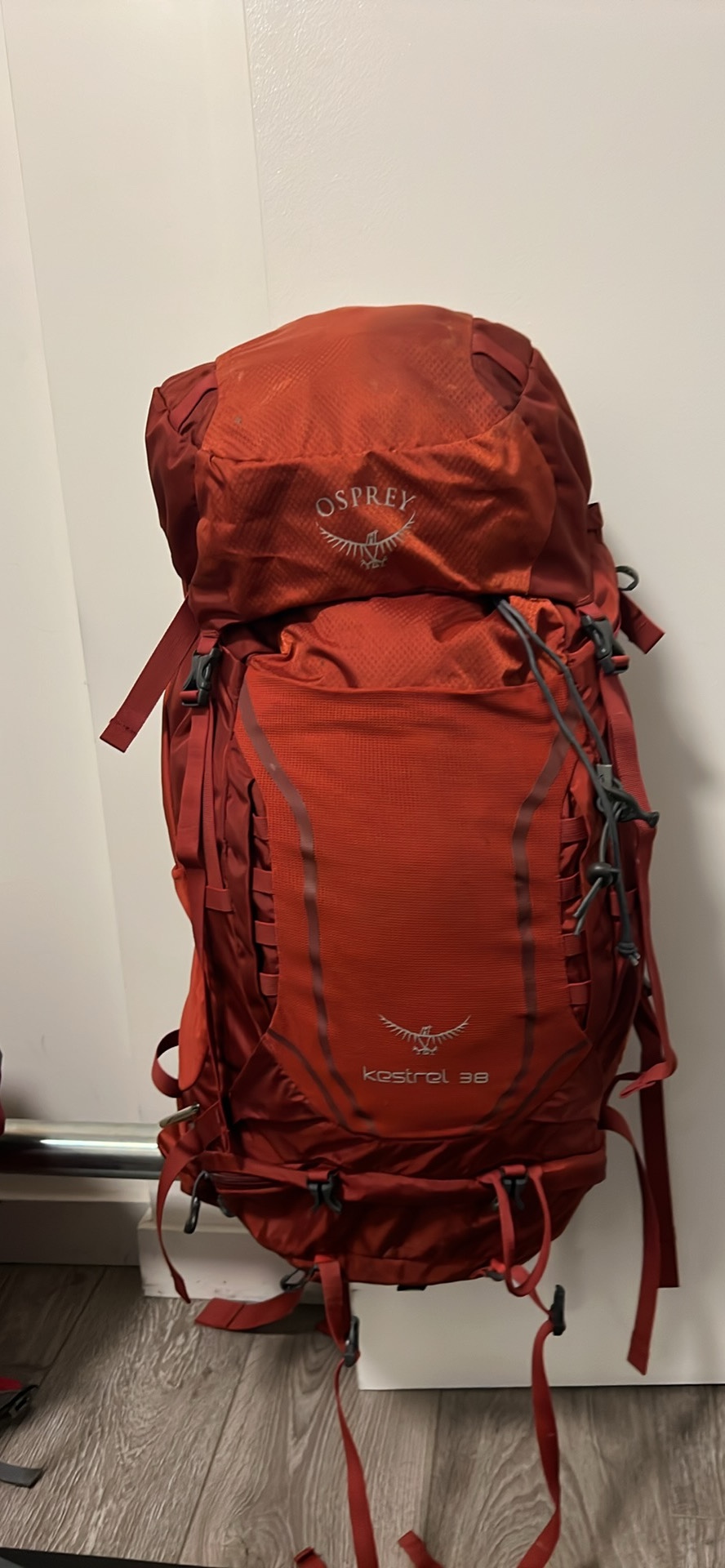 Osprey Kestrel 38 Backpack - photo 2