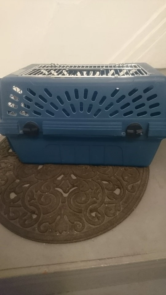 Petmate 2 Door Small Pet Carrier - photo 2