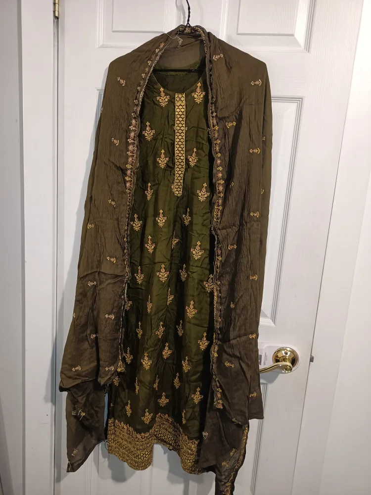 Green Embroidered Indian Suit thumbnail