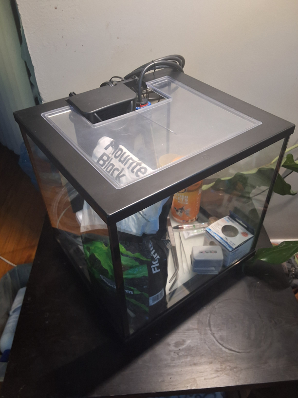 10 Gallon Aquarium Set Up - photo 2