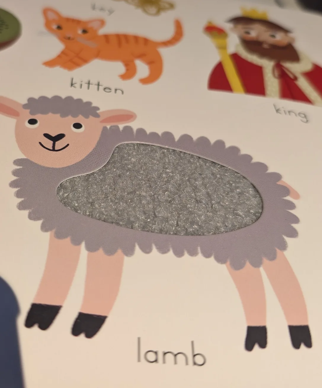 Learn & Explore Alphabet Touch & Feel Book image indicator(3)