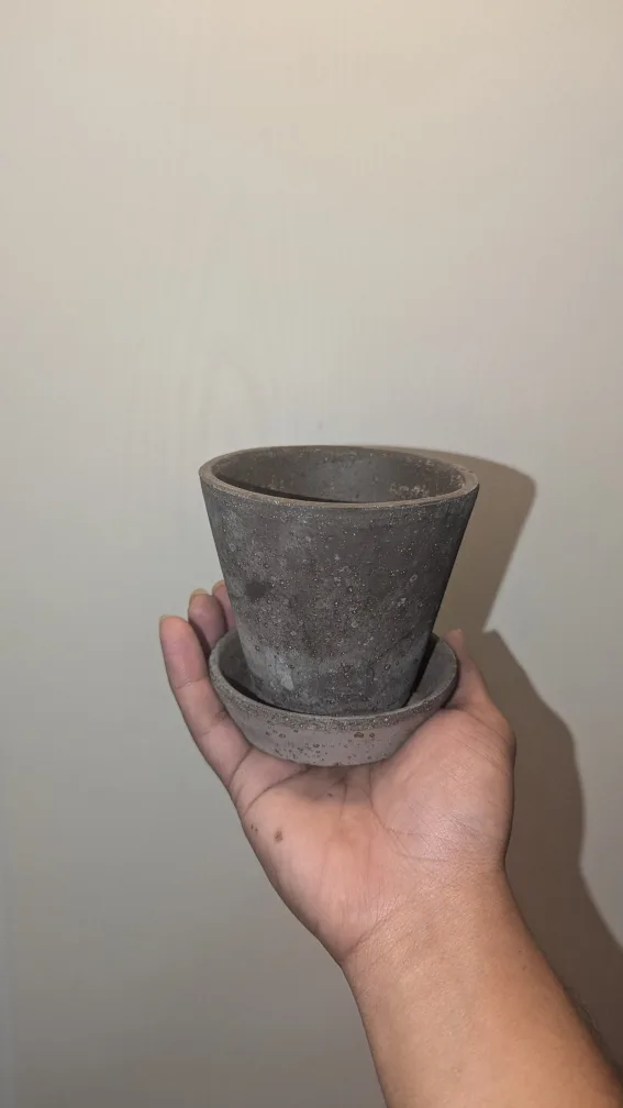 Plant top thumbnail