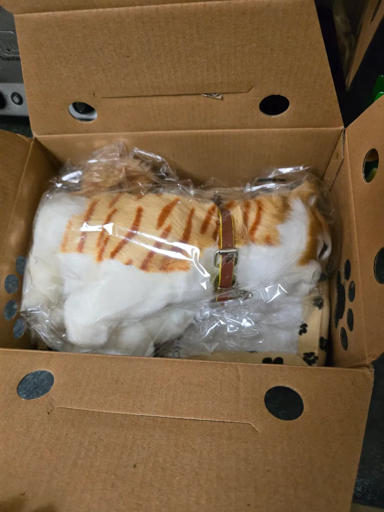 $ 0 # Freecycle Sweet Petzzz Interactive Plush Cat image indicator(2)