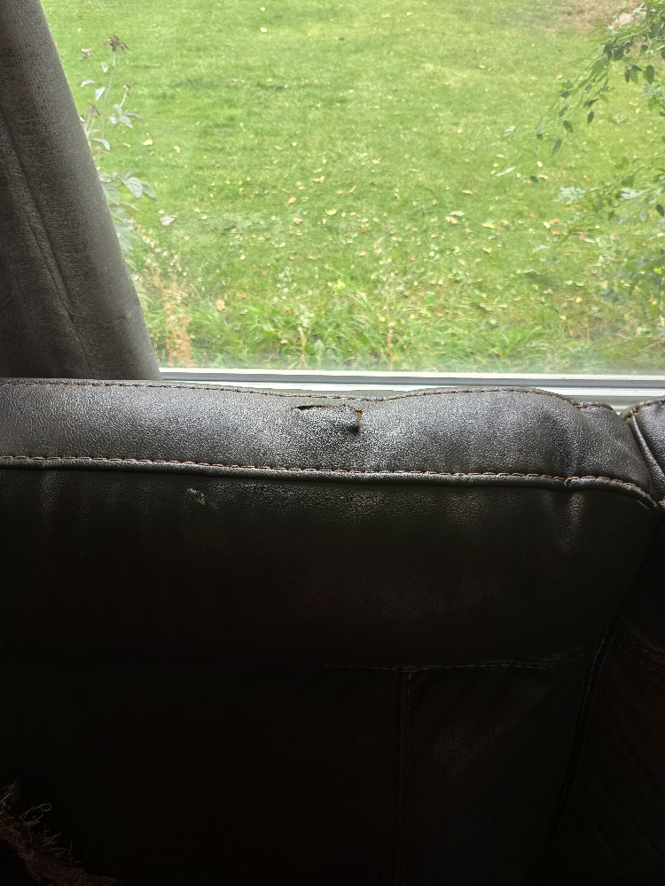 leather couch - photo 2