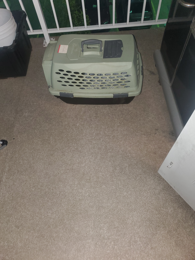Cat Carrier