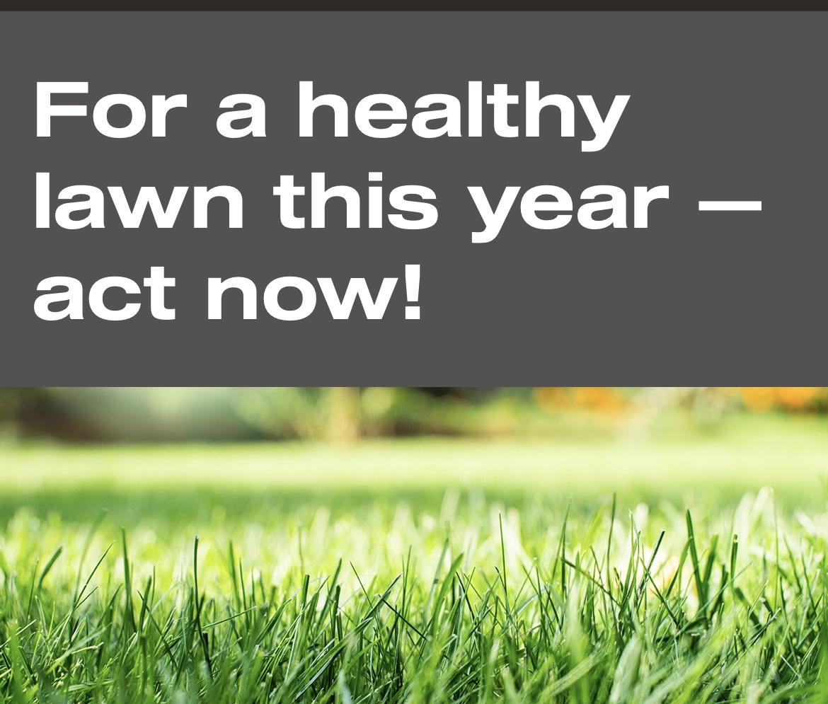 Lawn Aerator - photo 4