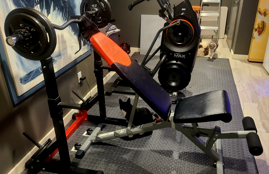 Bowflex Weight Bench, barbell, and weights - photo 4