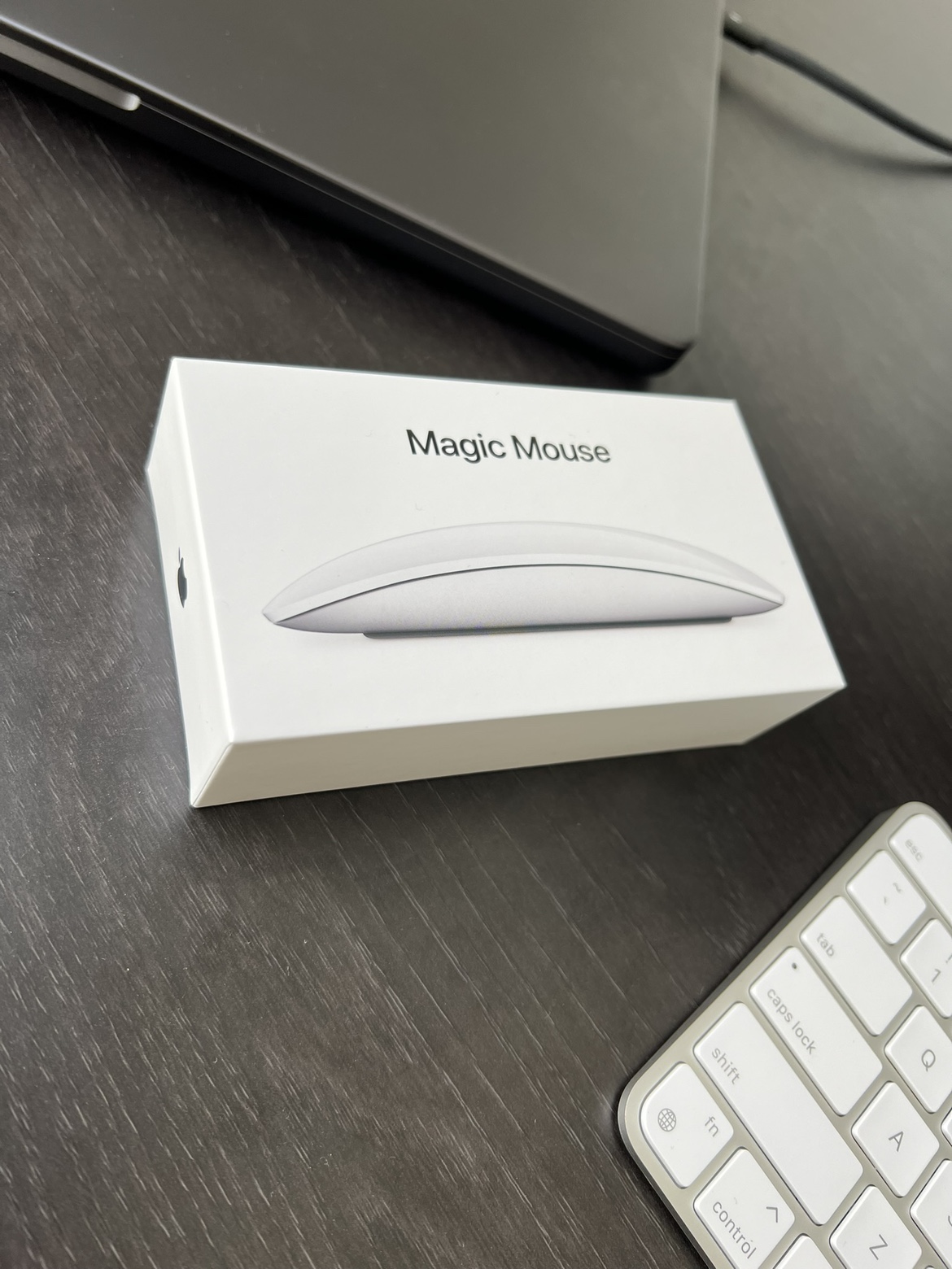 New Apple Magic Mouse