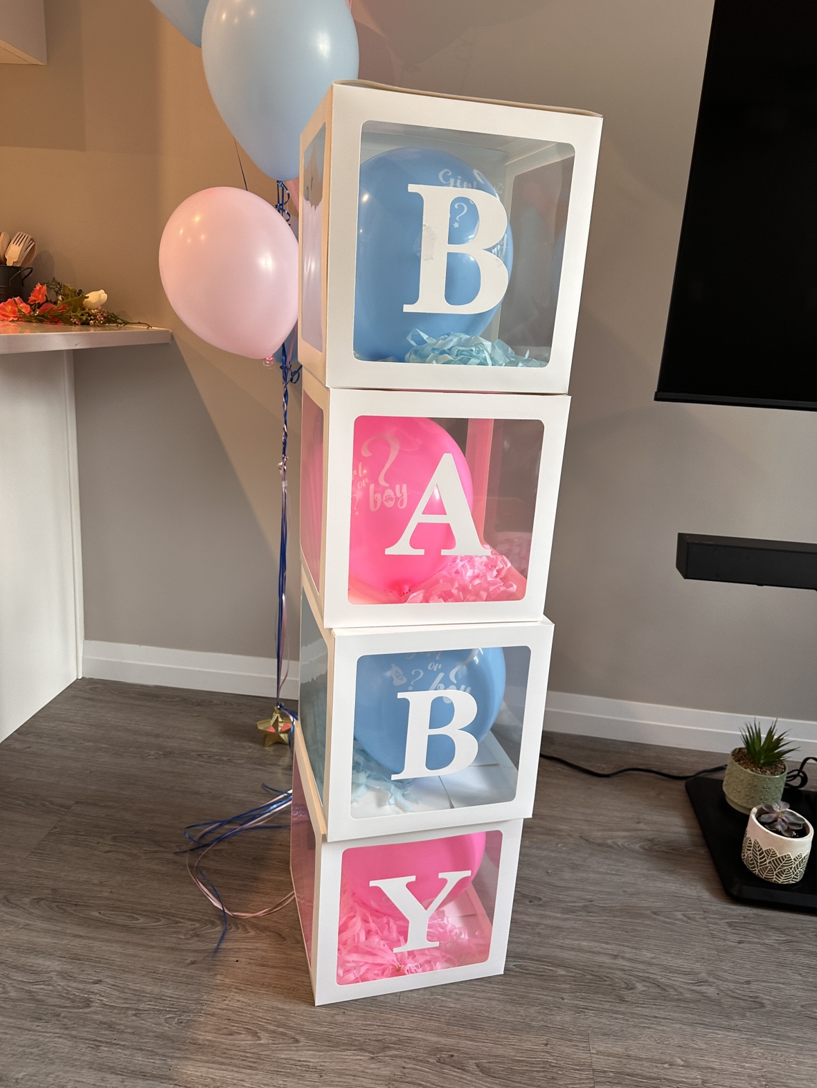 Gender Reveal Party Decorations - photo 4