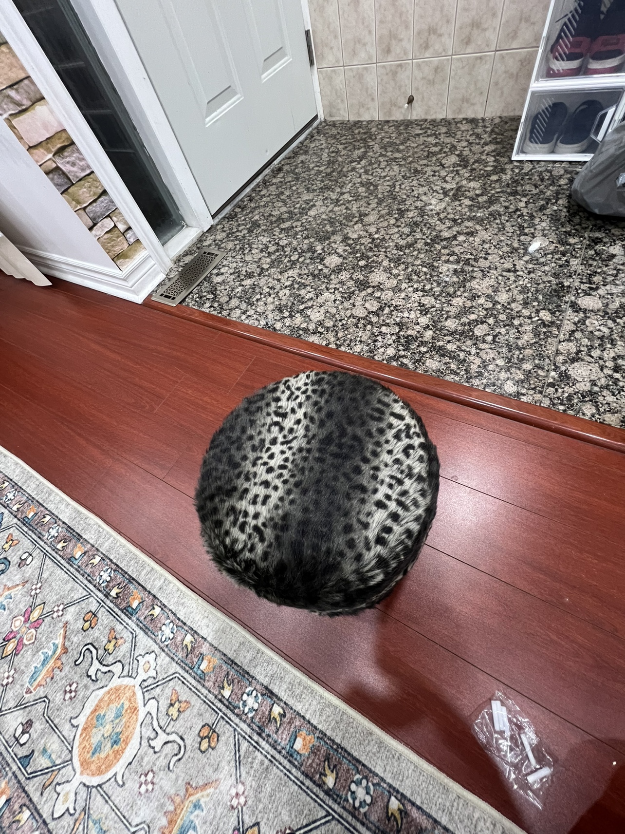 Leopard Print valvate Stool/ottoman