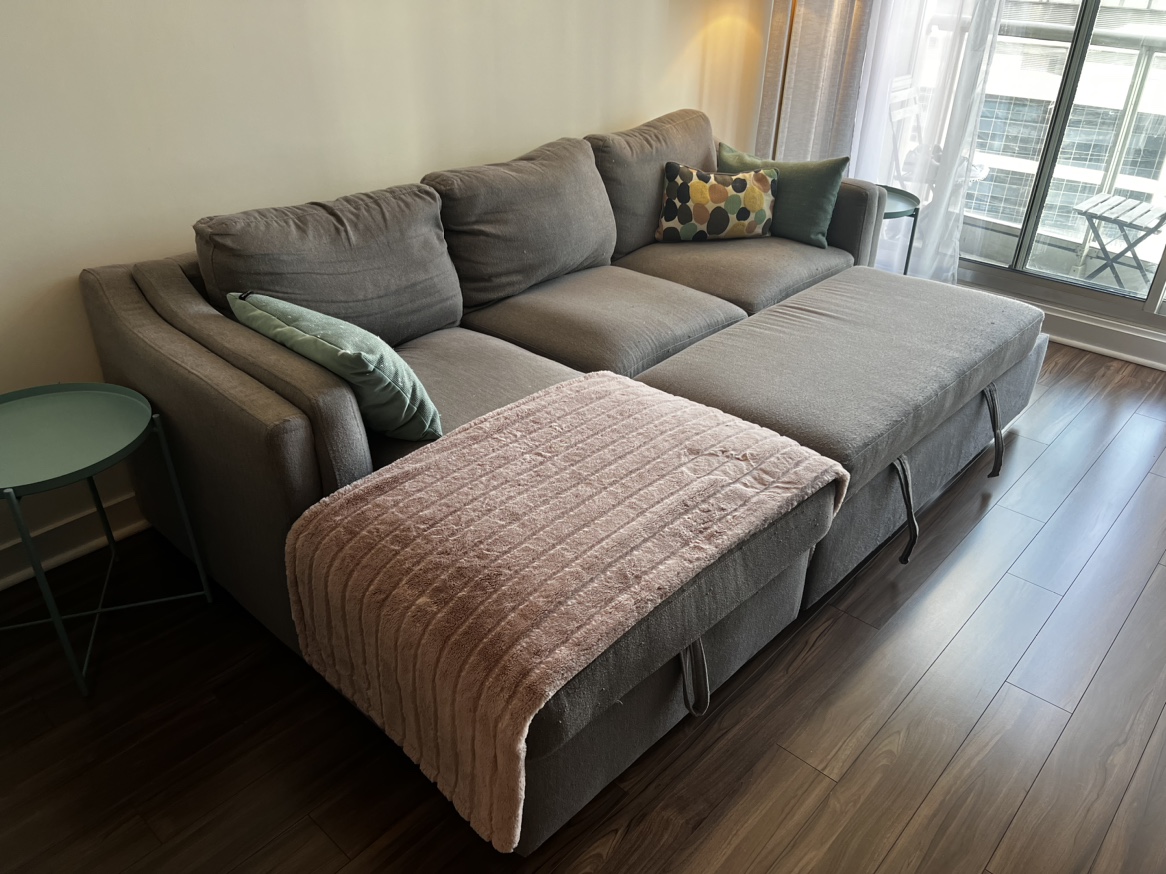 The Brick Carter Sectional Sofa bed - photo 2