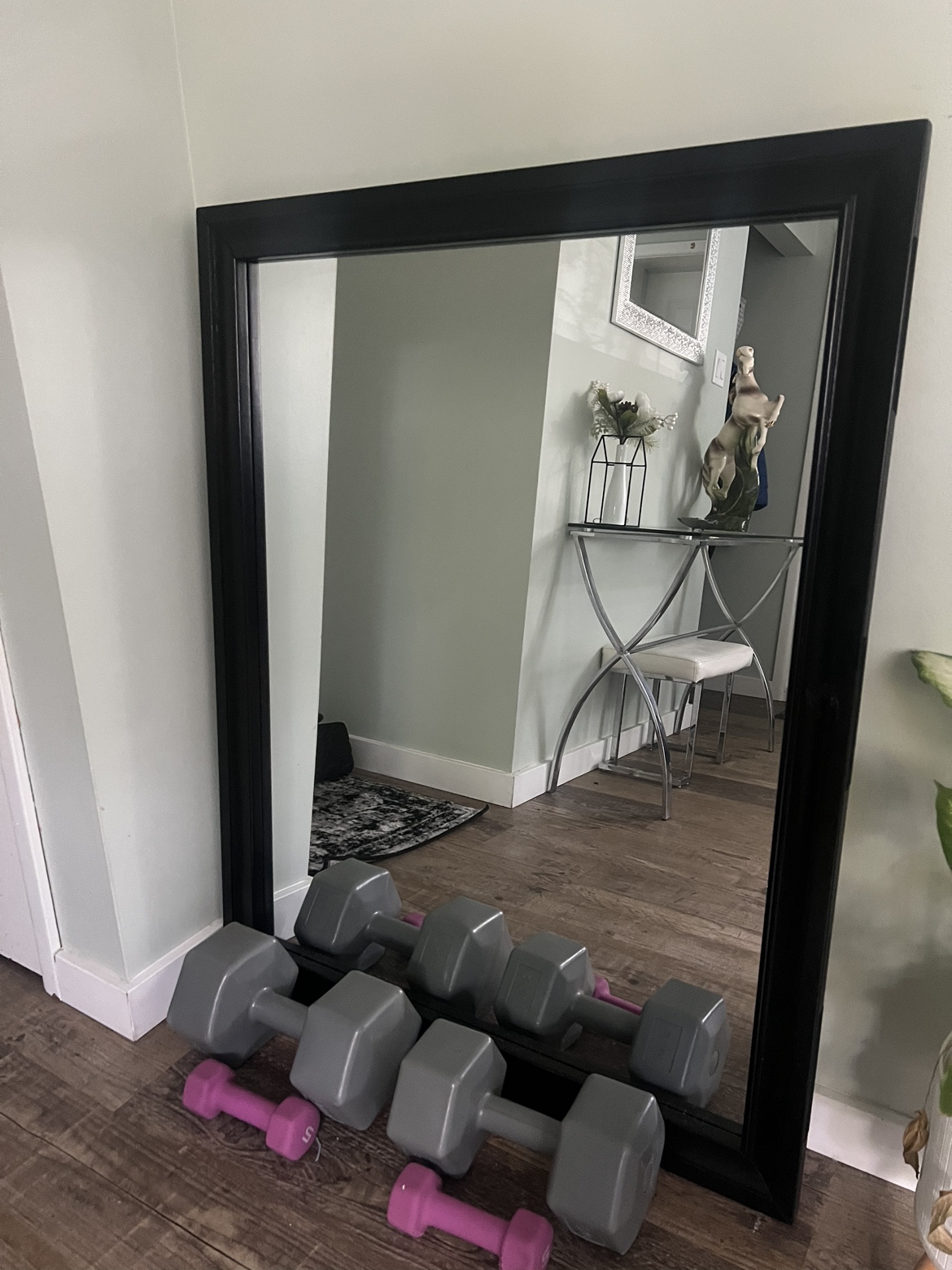 Large Black Framed Mirror