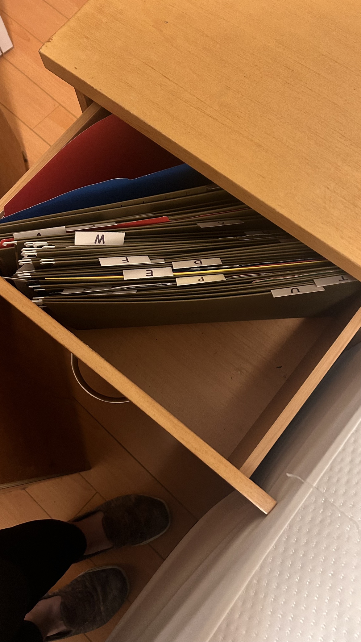 2 drawer filing cabinet w folders - photo 2